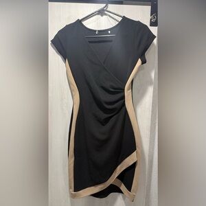 Elegant Black and Tan Dress